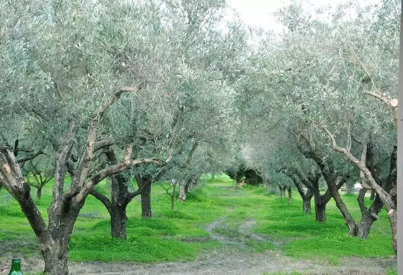تختخواب و صبحانه Agriturismo La Mandragola Relais