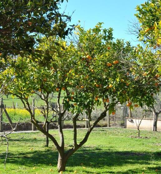 Bed and Breakfast Agriturismo La Mandragola Relais