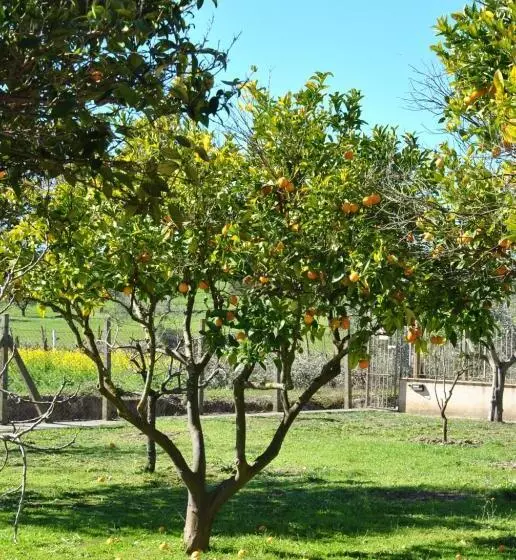 تختخواب و صبحانه Agriturismo La Mandragola Relais