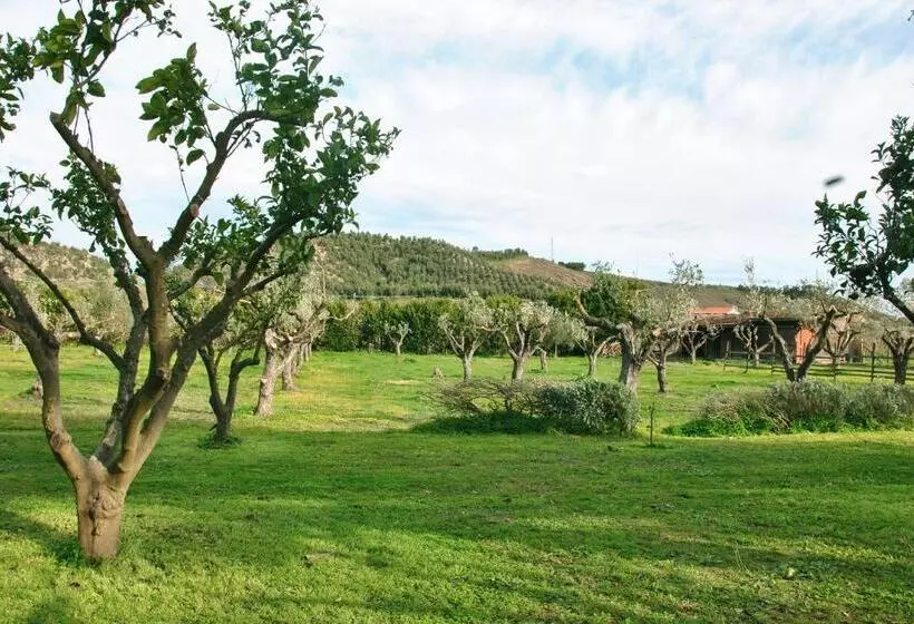 تختخواب و صبحانه Agriturismo La Mandragola Relais