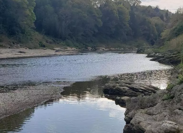 Aamiaismajoitus (B&B) 奈良五條の宿 彩 Irodori