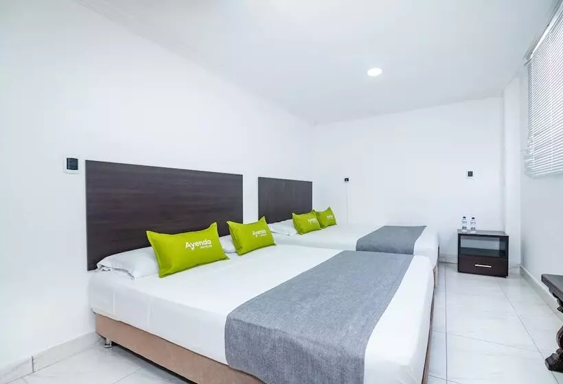 ホテル Ayenda Olimpa 1144