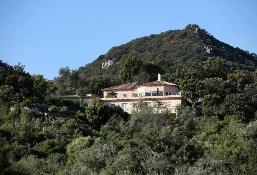 Residence Punta Serena