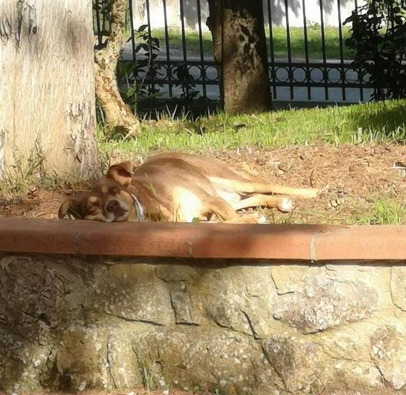 مبيت وإفطار Maison Tuscany Bed&breakfast