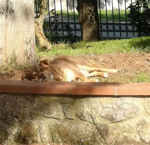 Aamiaismajoitus (B&B) Maison Tuscany Bed&breakfast