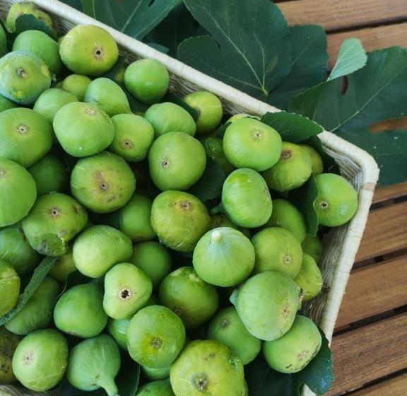 مبيت وإفطار Maison Tuscany Bed&breakfast