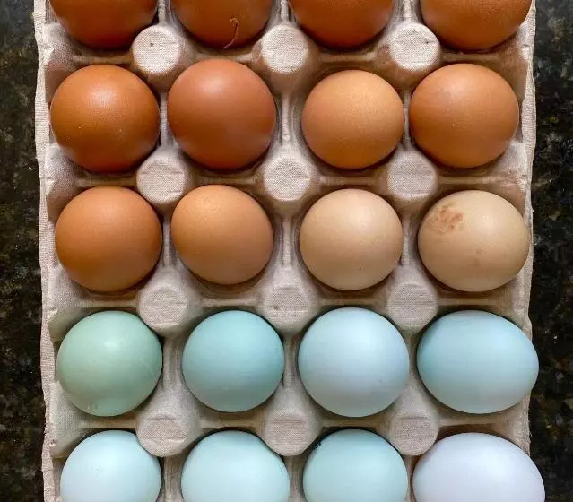 Aamiaismajoitus (B&B) Noubar