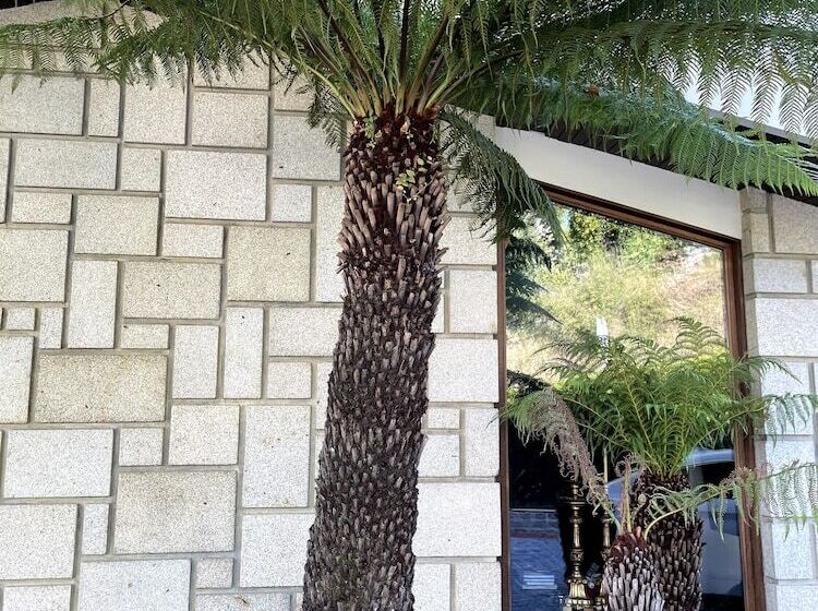 住宿加早餐  Santiago Family House