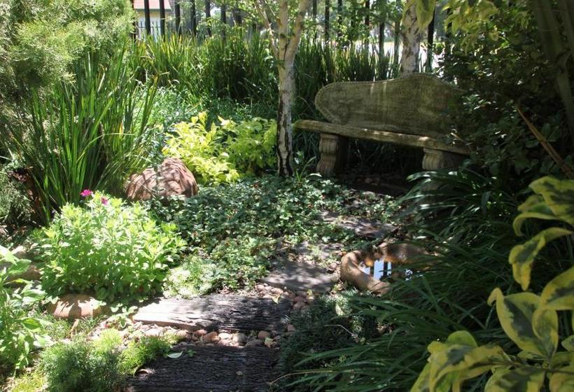 膳宿费 Luxury En Suite King @ 4 Star Guest House