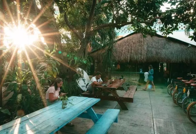 Hostel Oryx Tulum