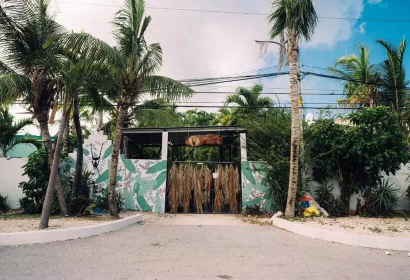 Hostel Oryx Tulum