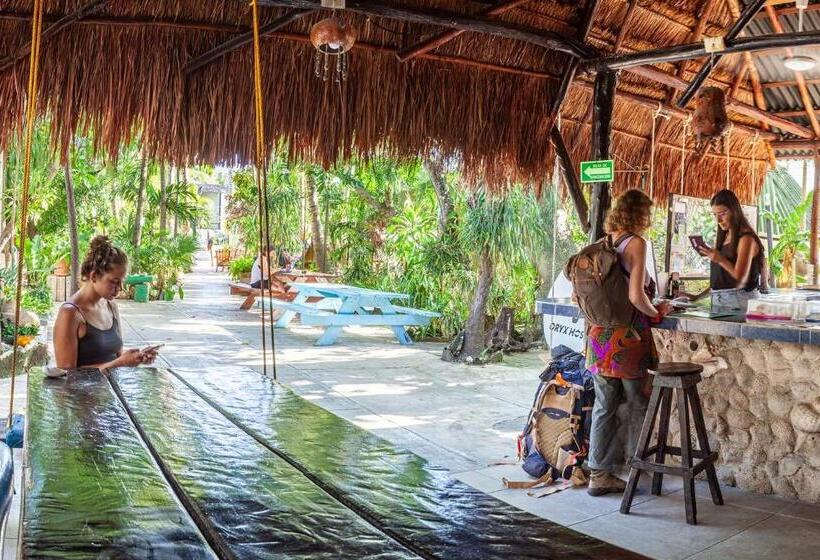 Hostel Oryx Tulum