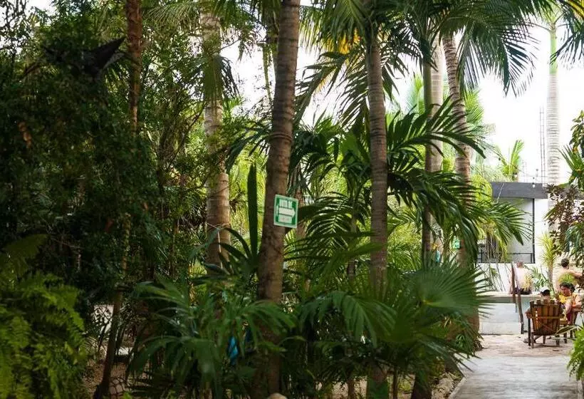 Hostel Oryx Tulum