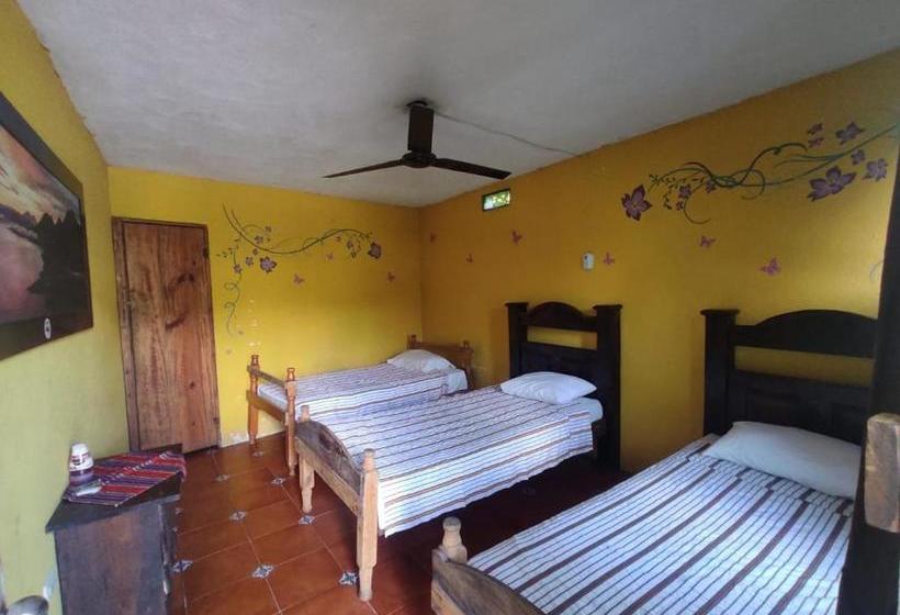 هتل El Sueño De Tansú