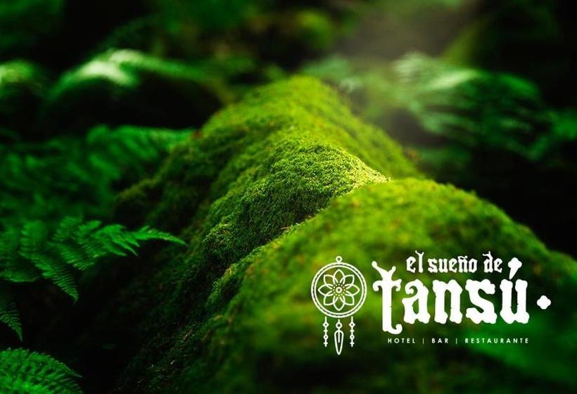 هتل El Sueño De Tansú