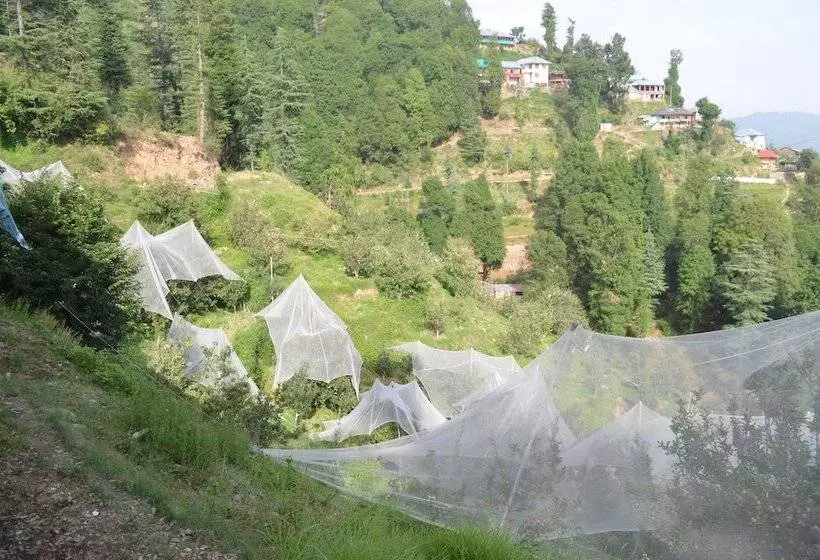 ホテル Hari Om Paradise