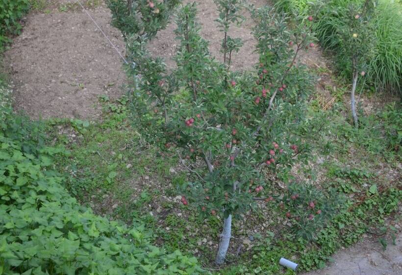 Hotel Hari Om Paradise