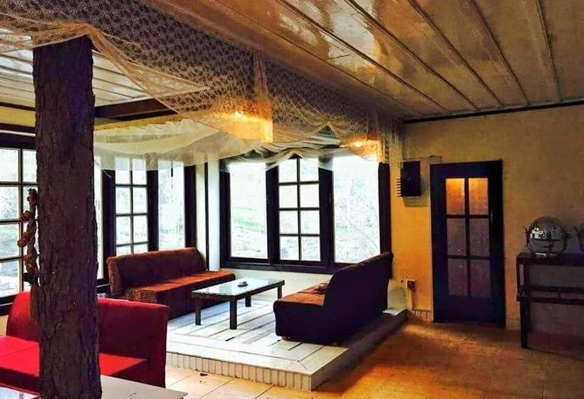 هتل The Jungle Inn Resort & Restaurant