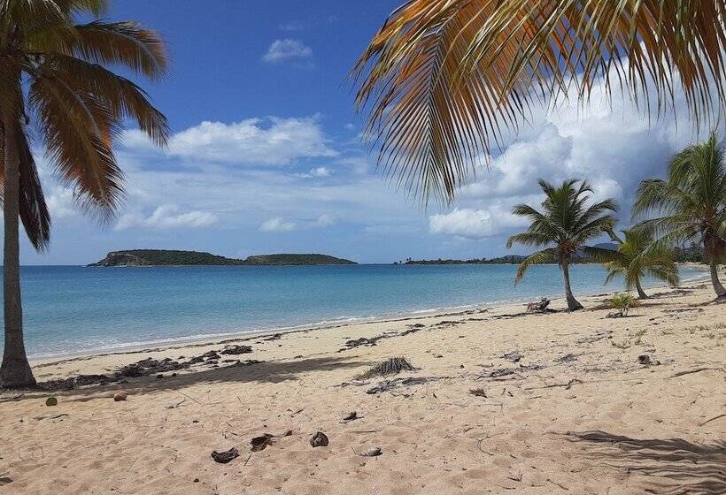 پانسیون A Toda Vela