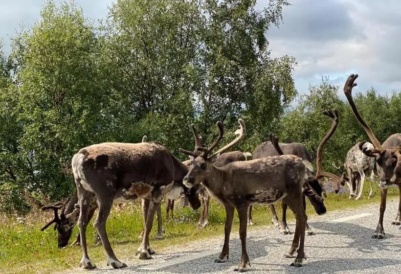 Majatalo Strandgården Fjällnäs