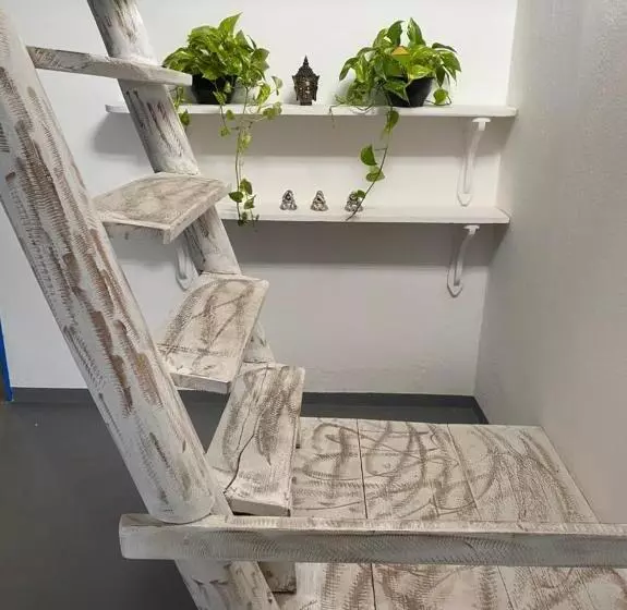 ペンション Pousada Cocar Caraíva
