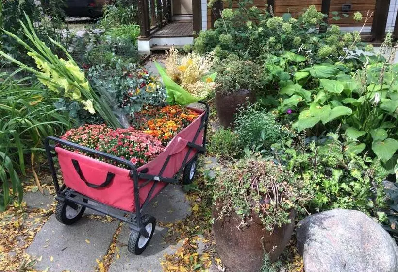 Baxter House Bed & Breakfast And Apartment