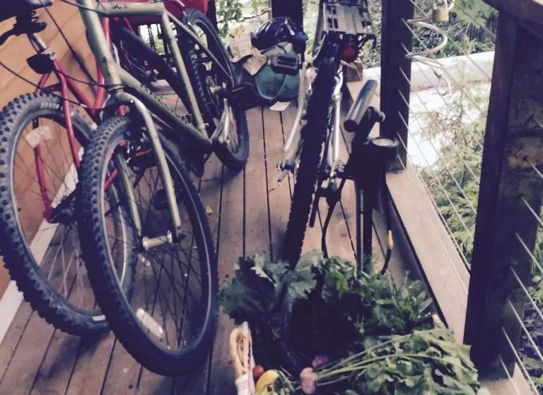 Baxter House Bed & Breakfast And Apartment