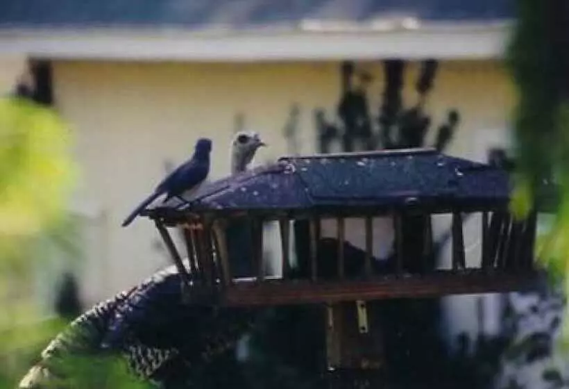 酒店 Backyard Garden Oasis