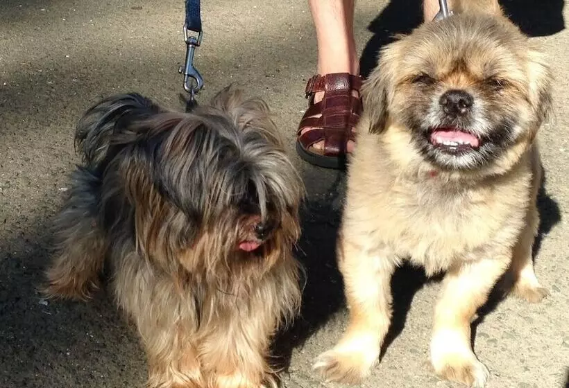 酒店 Backyard Garden Oasis