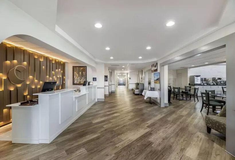 Отель Comfort Inn & Suites