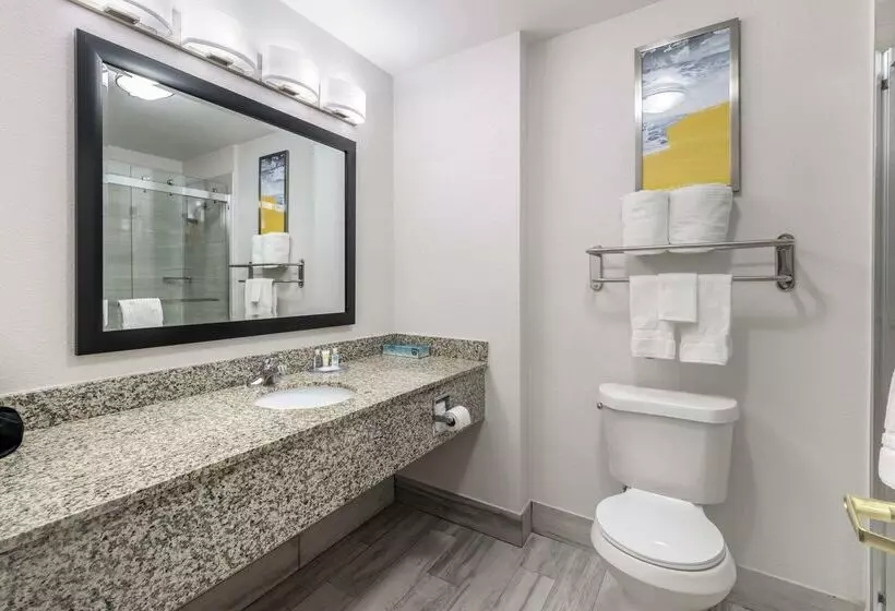 Отель Comfort Inn & Suites