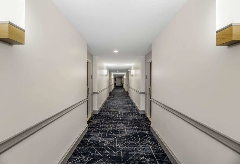 호텔 Comfort Inn & Suites