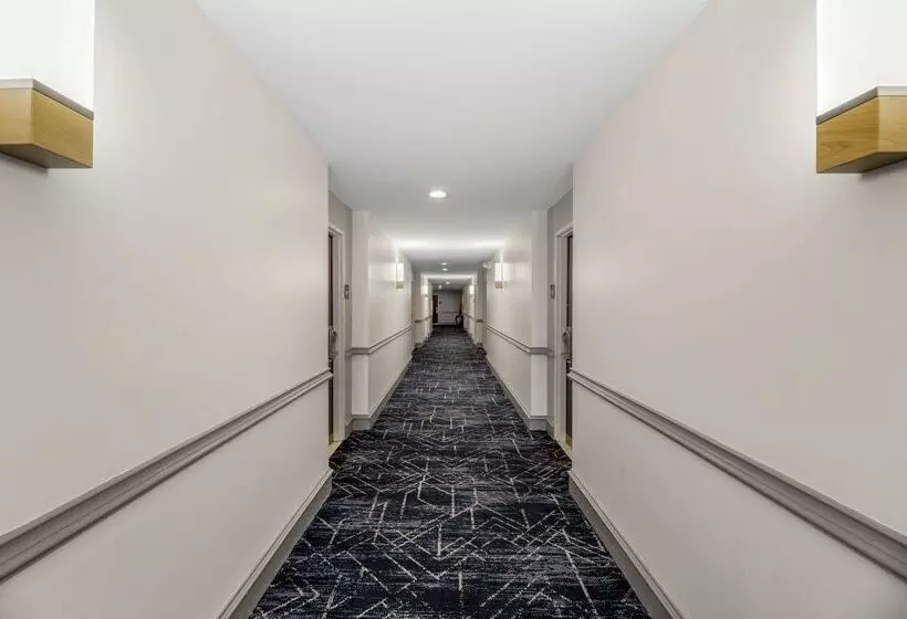 Отель Comfort Inn & Suites