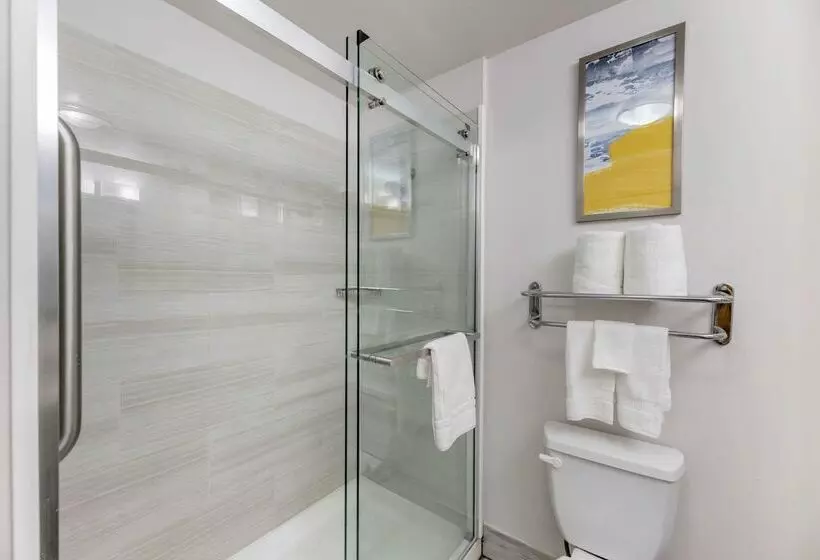 Отель Comfort Inn & Suites