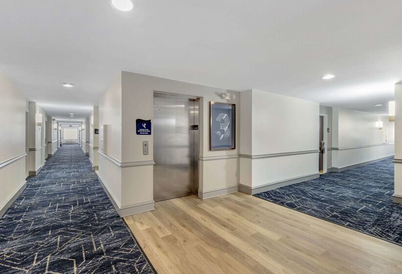 호텔 Comfort Inn & Suites