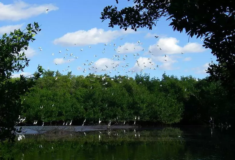 ホテル Glades Haven Cozy Cabins