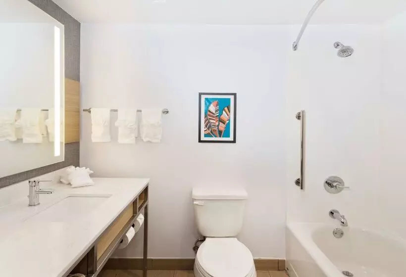 هتل Hilton Garden Inn Birmingham/lakeshore Drive