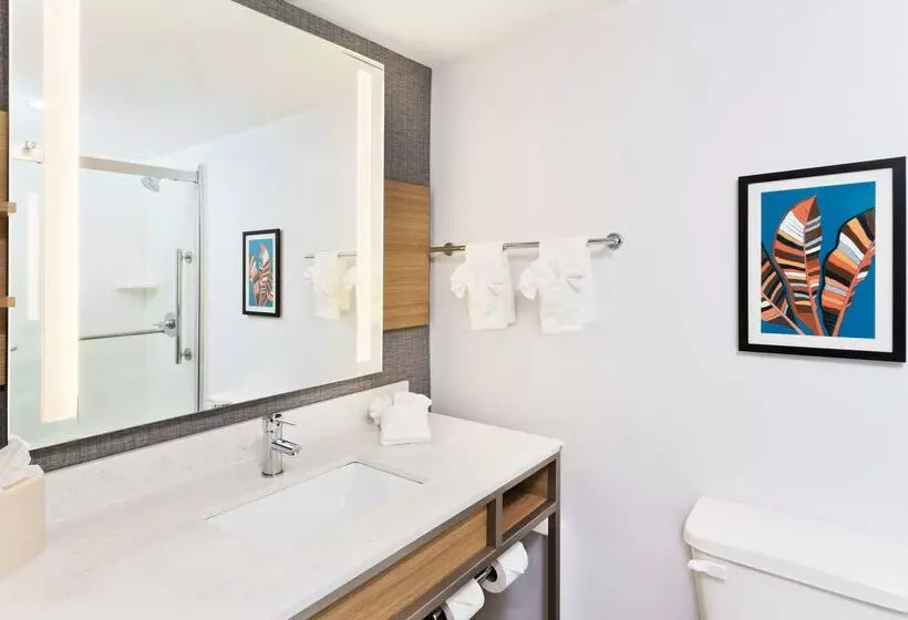 هتل Hilton Garden Inn Birmingham/lakeshore Drive