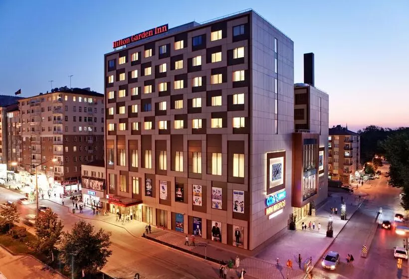 هتل Hilton Garden Inn Kutahya