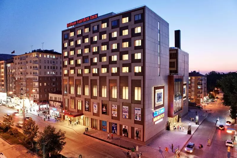 هتل Hilton Garden Inn Kutahya