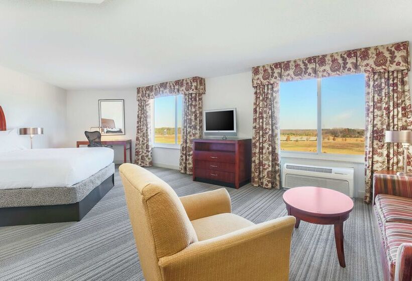 ホテル Hilton Garden Inn Roanoke Rapids