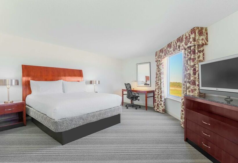 ホテル Hilton Garden Inn Roanoke Rapids
