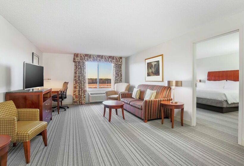 ホテル Hilton Garden Inn Roanoke Rapids