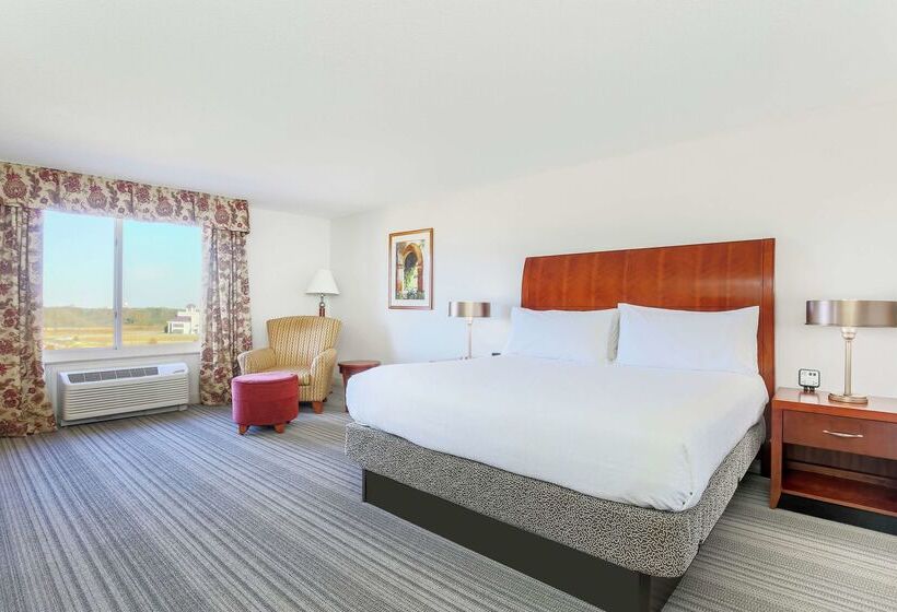 ホテル Hilton Garden Inn Roanoke Rapids