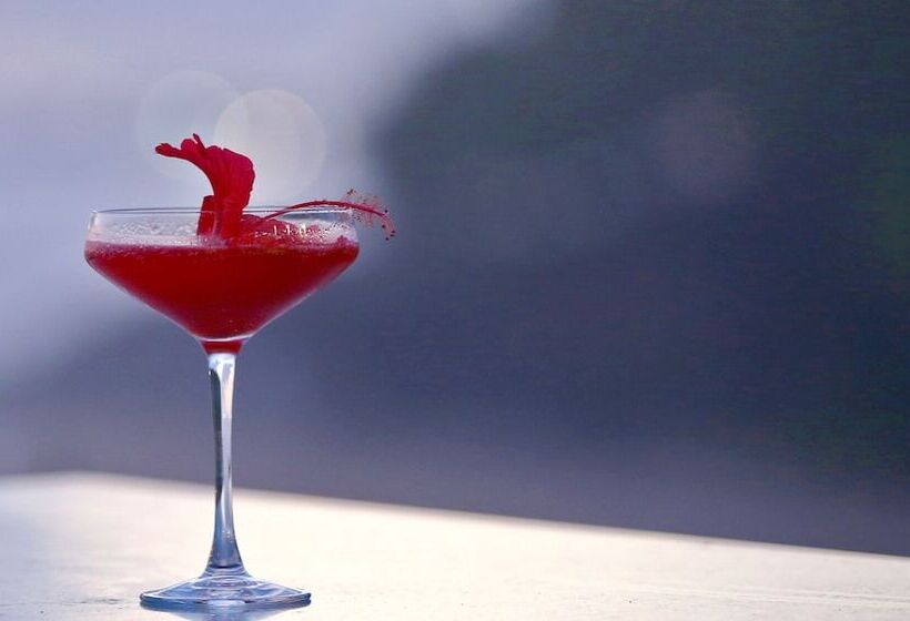 Отель Niraamaya Wellness Retreats, Surya Samudra, Kovalam