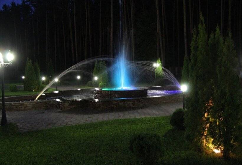 Отель Sosnovyi Bor