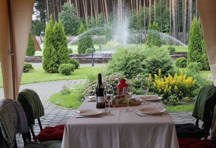 Отель Sosnovyi Bor