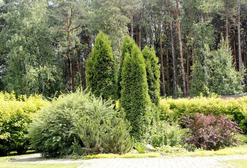 Отель Sosnovyi Bor