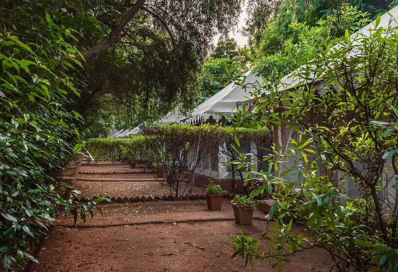 ホテル Tiger Machan