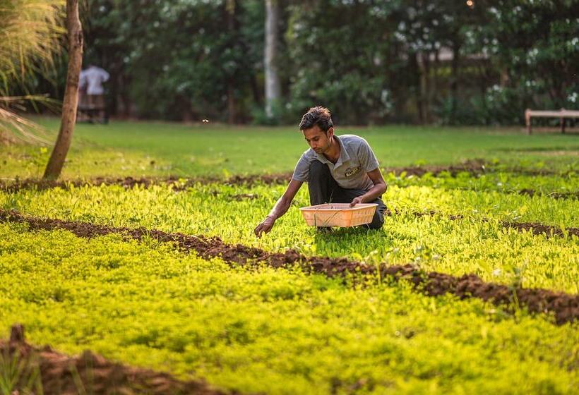 ホテル Tiger Machan